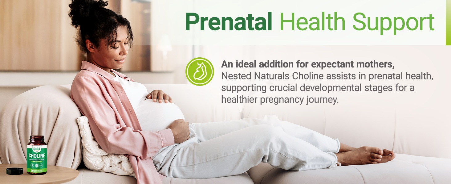 Nested Naturals Choline Bitartrate 500mg Per Serving - High Potency Choline Supplements - Supports Prenatal Maternal & Fetal Health During Pregnancy* - 100% Vegan & Non-GMO - 2-Pack (180 Capsules)