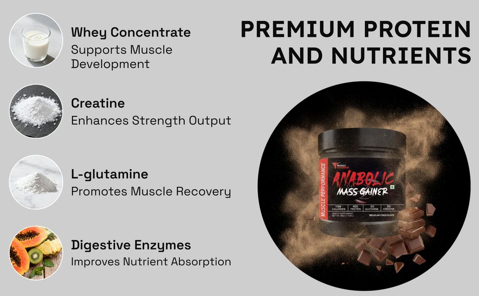 Anabolic Mass Gainer, 500g, Belgium Chocolate
