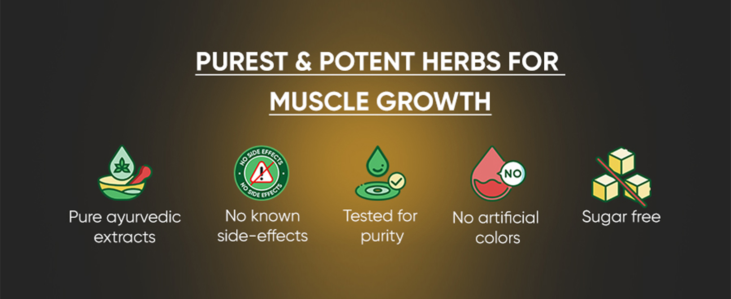 Dr. Vaidya’s Herbobuild Ayurvedic Muscle Supplement | Herbal Ayurvedic Supplement for Muscle Support (30 Capsules) (Pack of 1)