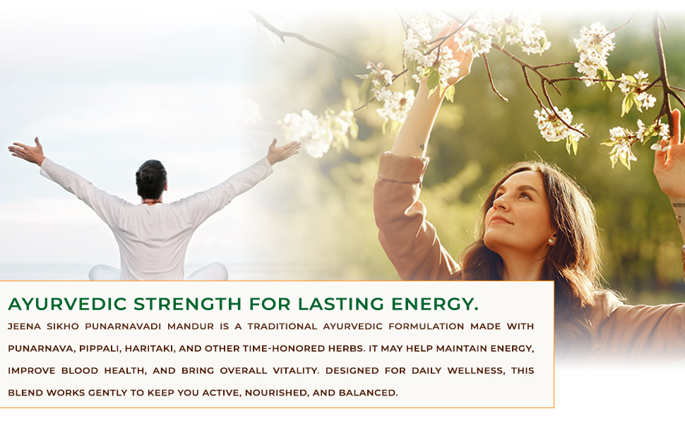 Jeena Sikho Punarnavadi Mandur | Ayurvedic for Body Fatigue, Weakness, Boosts | Increases Immunity & Stamina | Natural Wellness Support Tablets 60 Veg Tablets