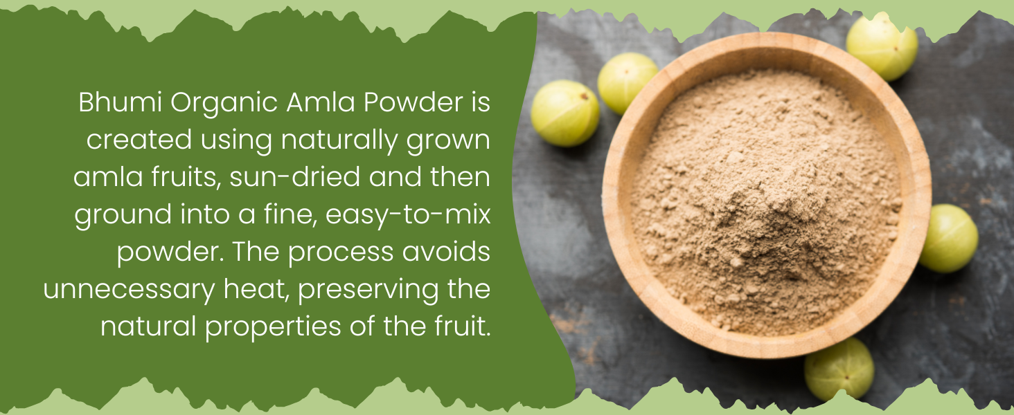 Bhumi Organic Pure Amla Powder For Hair Growth 500 grams