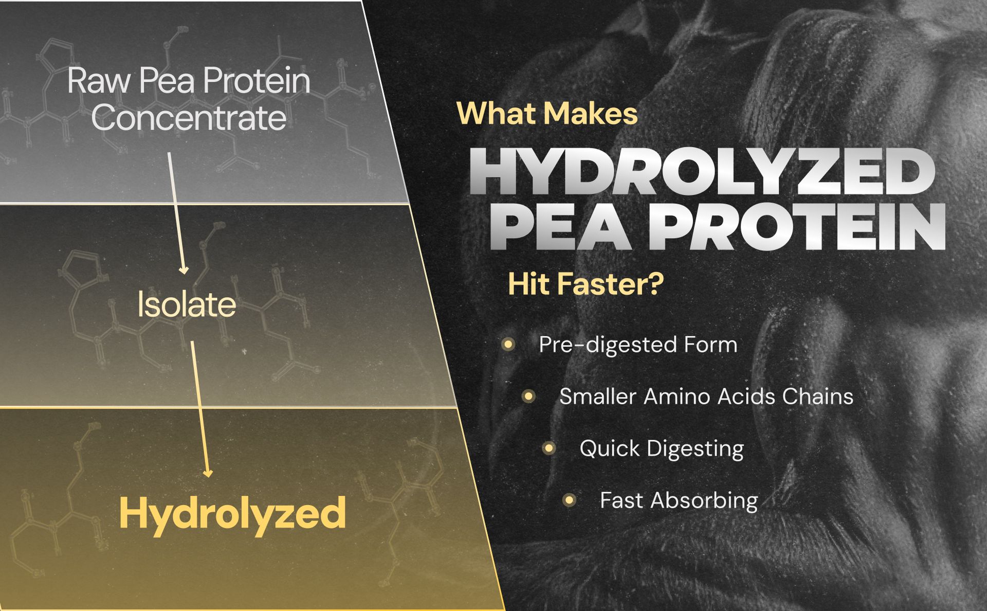 NUTRABAY Gold Hydrolyzed Pea Protein Powder - 1kg, French Vanilla | 25g Protein, 4.6g BCAA, 5g Fiber | Complete Amino Profile | Tastiest & Smoothest Vegan, Plant Protein | Muscle Gain & Fast Recovery