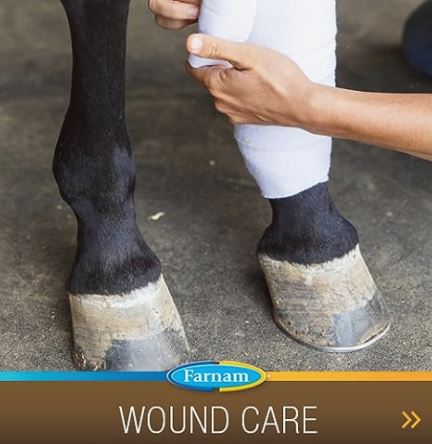Farnam Quietex II Pellets Daily Horse Calming Supplement, 26 Day Supply