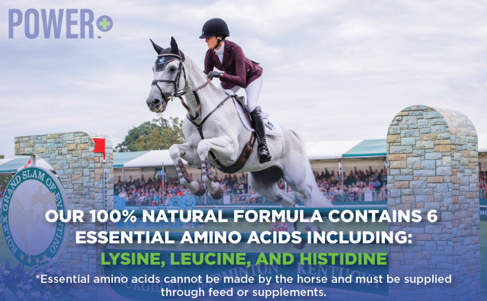 Pivotal Feeds Equine Total Recovery Supplement, 100 Servings