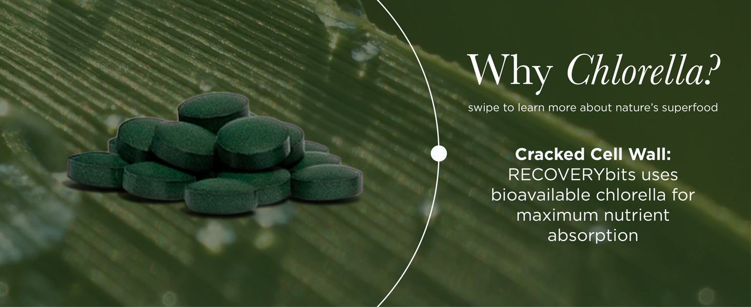 RECOVERYbits - Organic Chlorella Tablets - Plant-Based Algae Superfood - Chlorophyll - Cracked Cell Wall - Energy - Immune System - Detox - Keto - Vegan - Non-GMO - Large Canister - 1000 Tablets