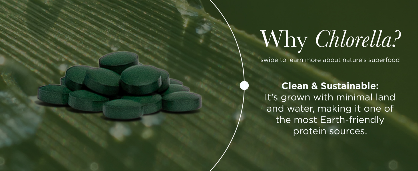 RECOVERYbits - Organic Chlorella Tablets - Plant-Based Algae Superfood - Chlorophyll - Cracked Cell Wall - Energy - Immune System - Detox - Keto - Vegan - Non-GMO - Large Canister - 1000 Tablets