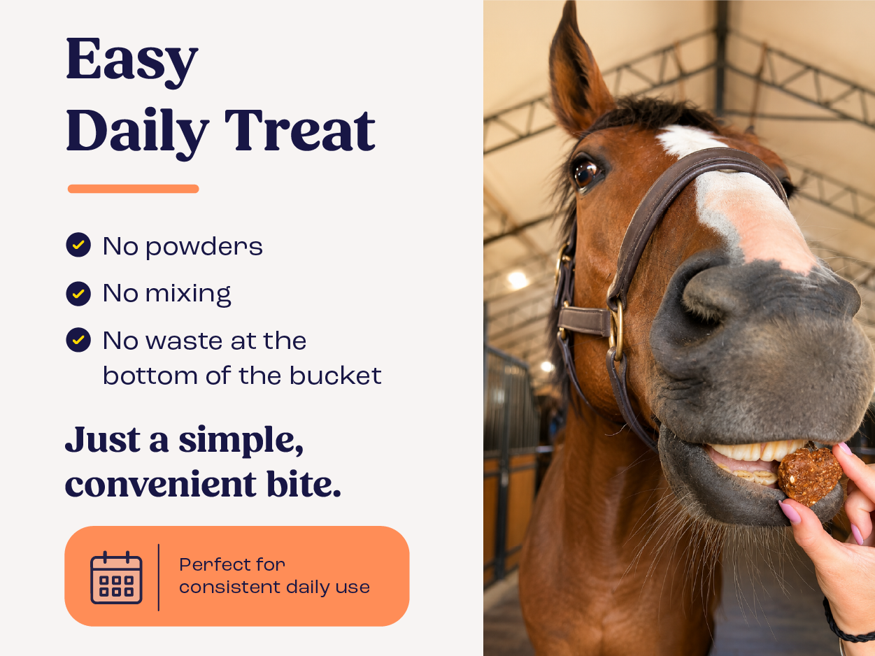 Summit Equine Joint & Mobility Bites Daily Supplement for Horses, Liposomal Delivery, Max Absorption, Vet Recommended, All-Natural Ingredients, 100% Drug-Free, Healthy Joints - 30 Bites