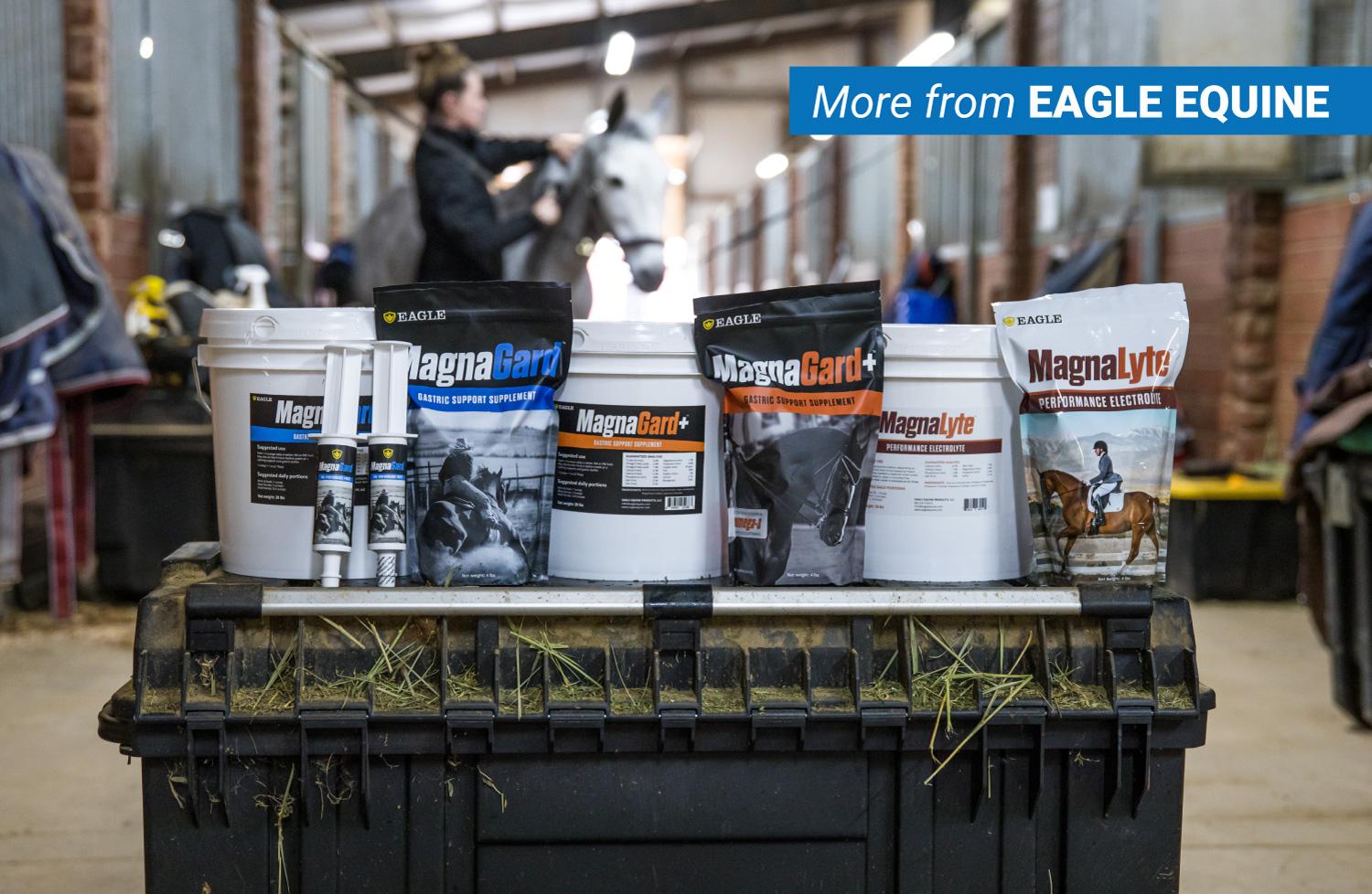 Gastric Support Supplement for Horses | Relieves Ulcers, Calming Supplement, Magnesium & Other Vital Minerals | Powder, 6 Pound Bag, 45-Day Supply | by Eagle Equine