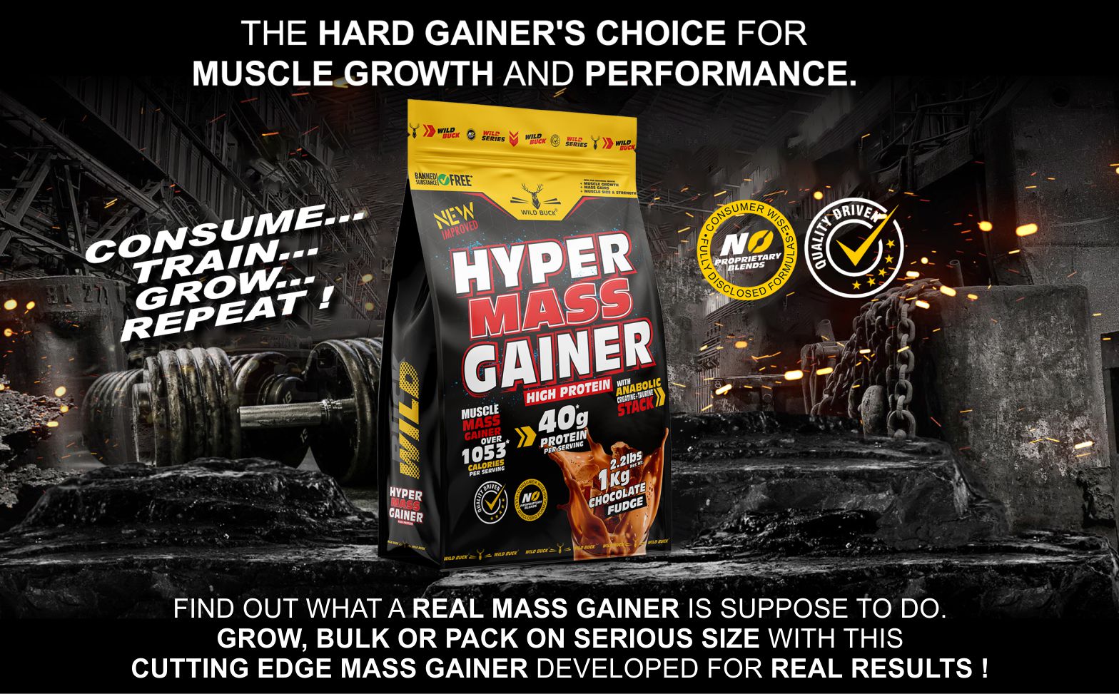 Wild Buck Hyper Mass Gainer, High Protein Muscle Mass Gainer with Creatine + Taurine,1053 Calories & 40g Protein, Gain Strength & Size,for Men & Women [Chocolate Fudge,1 Kg Powder] Free Shaker