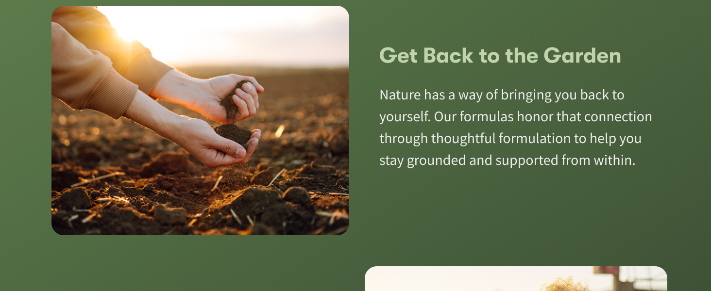 Garden of Life Dr. Formulated Digest+ Enzymes with Papain & Bromelain, 90ct