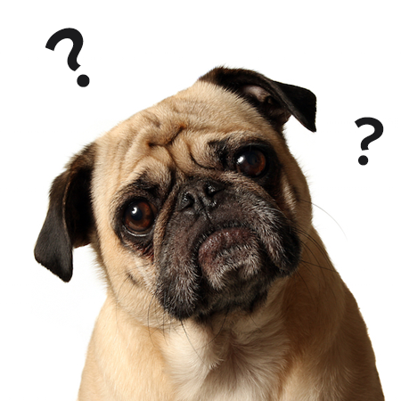 Give Your Pets the Ultimate Health Boost with Omega 3! formulated Fish Petvita Packed with Essential Fatty acids,Vitamins,and Minerals to Support Your pet's Overall Well-Being.