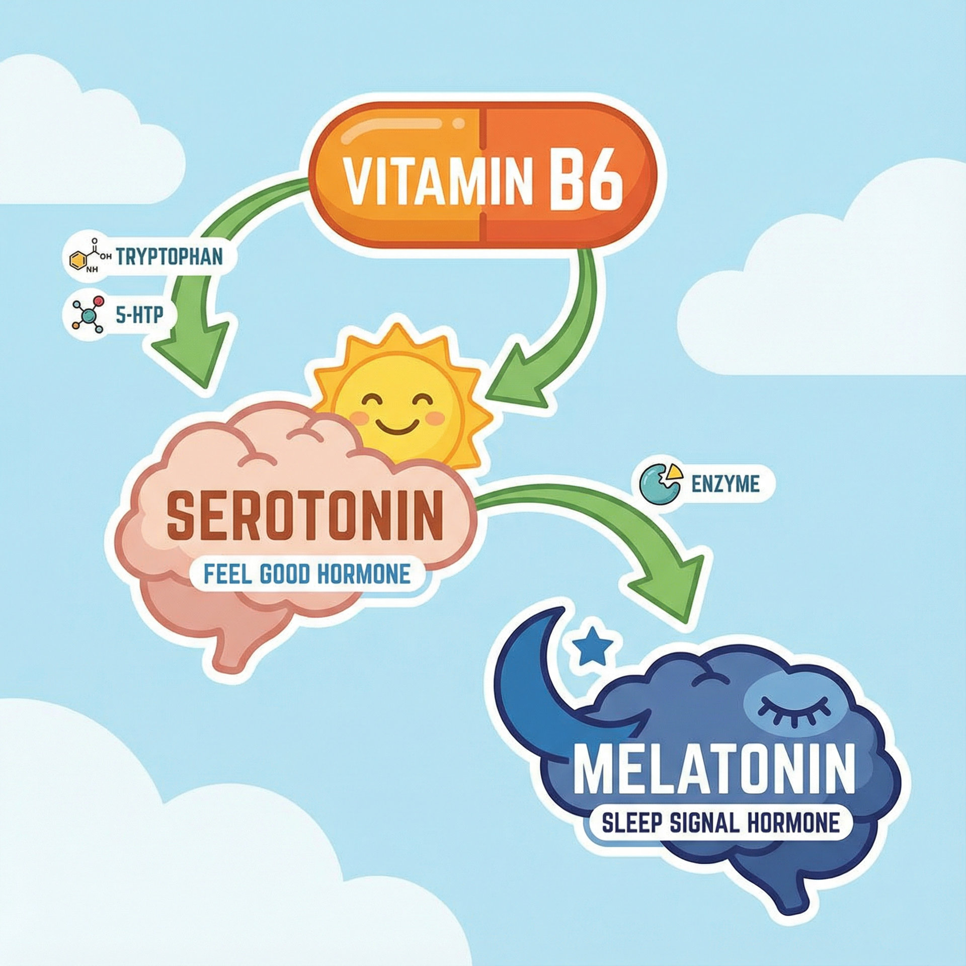 Suplee Melatonin 10mg (60 Tablets) with L-Theanine, Magnesium Glycinate & Vitamin B6 - Night Time Sleep Support Supplement - Helps with Deep Sleep & Mental Relaxation - Non-Habit Forming