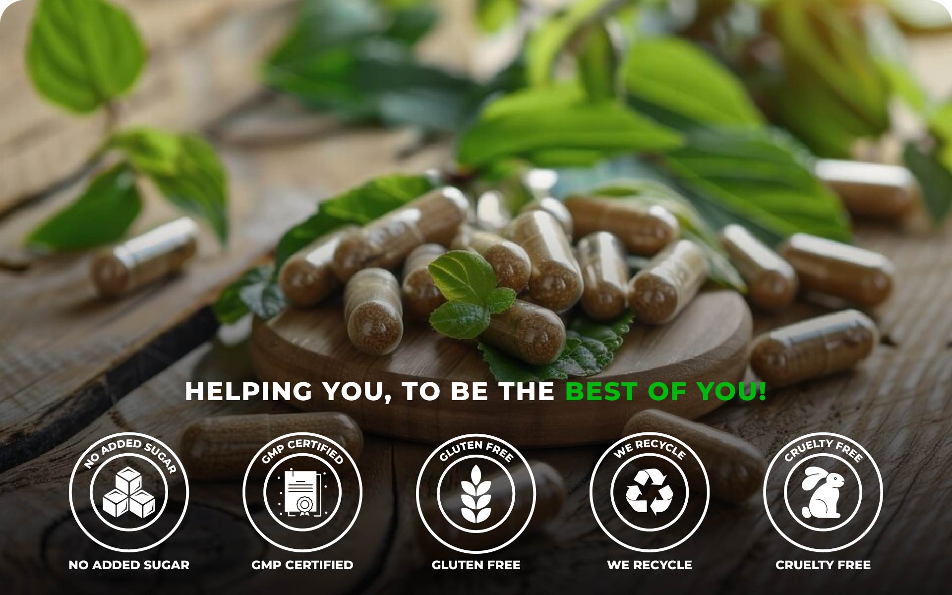 Humming Herbs Digestive Enzyme 13-in-1 – 1200 mg per Serving – Protease, Amylase, Cellulase, Hemicellulase, Glucoamylase, Maltose, Bromelain, Papain, Acid-Stable Protease, Lipase, Invertase, Lactase + Inulin – 90 Vegan Capsules