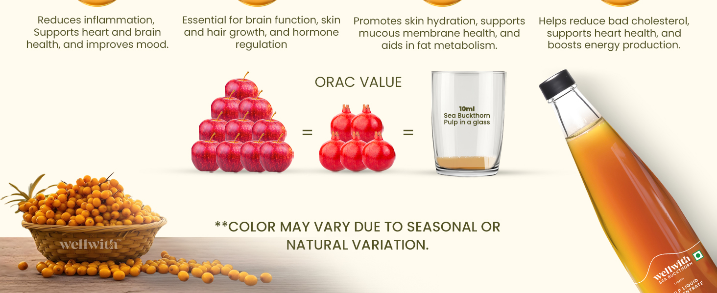 Wellwith by Ayuzera Himalayan Sea Buckthorn Berry Pulp 300ml | Plant Based Vegan Omega 3, 6, 7 & 9 | No Fish Oil | Natural & Organic | Upto 50 Glass Juice | Antioxidants & Vitamins (300ml, Pack Of 3)
