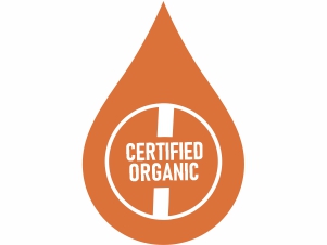 Nutriorg Cold Pressed Organic Flax Seed Oil 100 ml | Cold Pressed | Omega 3 Rich | For Weight Loss
