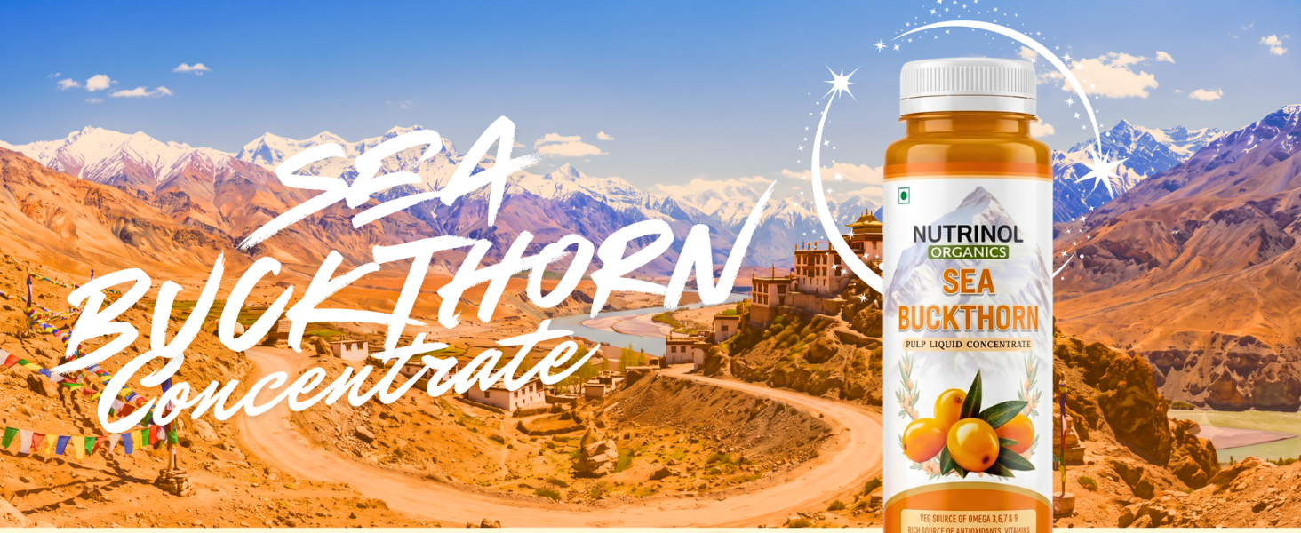 Sea Buckthorn Juice 300ml Bottle for Adults