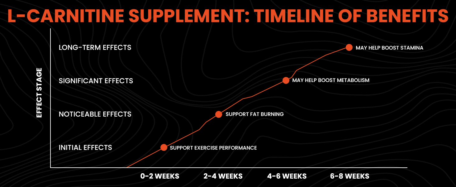 Carbamide Forte L-Carnitine L-Tartrate 1000mg |Pre Workout Supplement & Night & Day Fat Burner - Weight Loss Support & Creatine Monohydrate Supplement for Lean Muscle|Powder