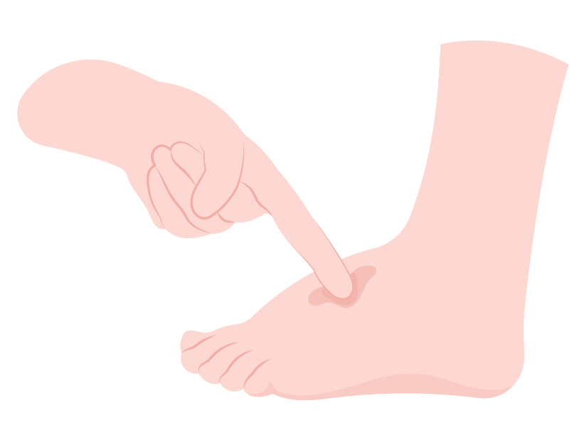 Punarnava Makoy Juice : Naturally Support Eye, Kidney and Liver Health 1L