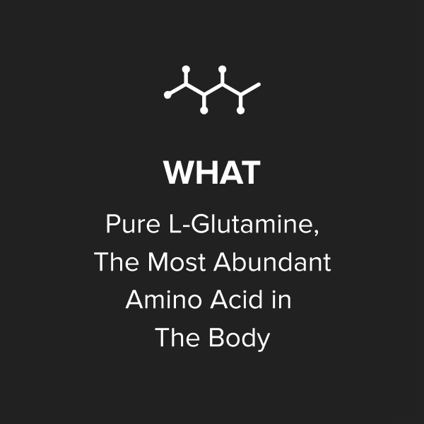 Optimum Nutrition L-Glutamine Muscle Recovery Capsules, 240 Ct