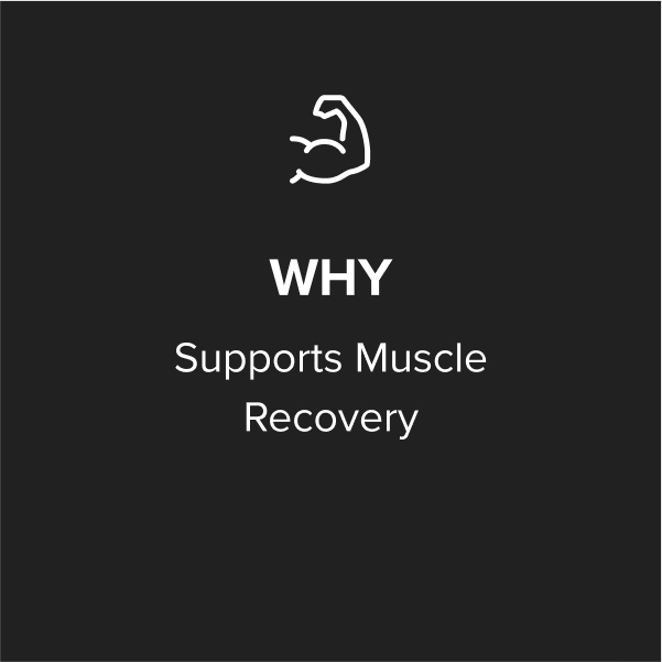 Optimum Nutrition L-Glutamine Muscle Recovery Capsules, 240 Ct