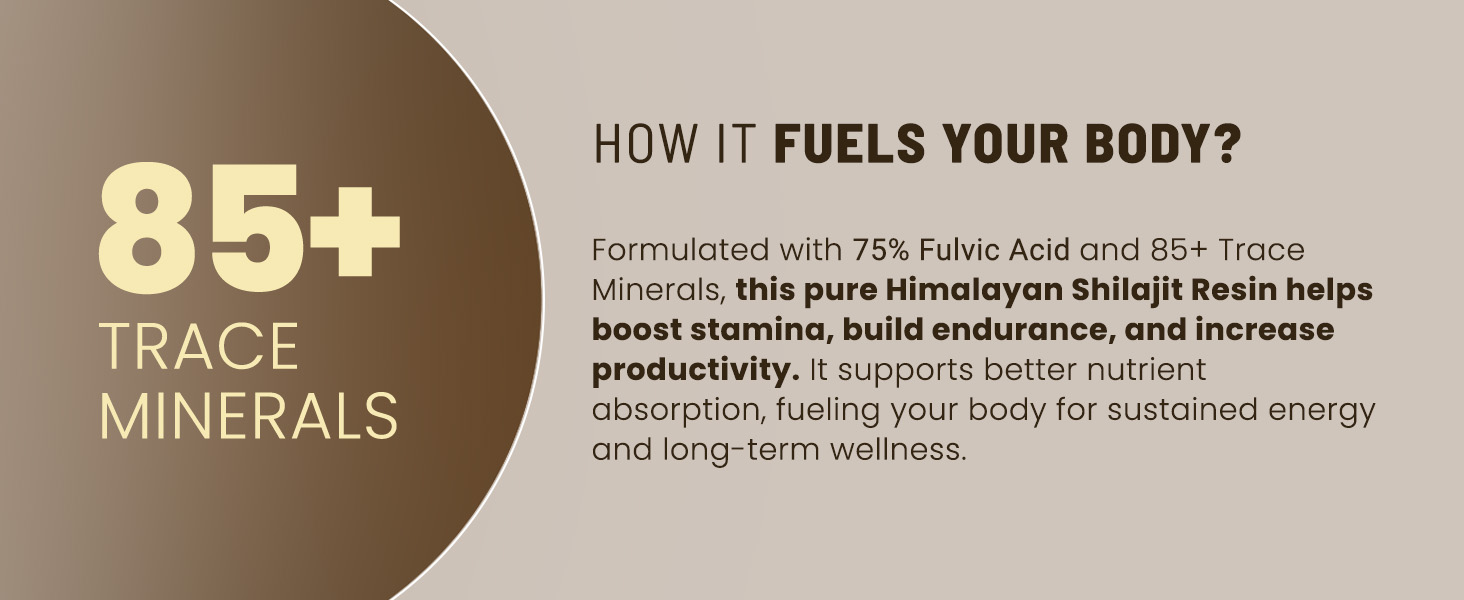 Anecdote 100% Pure Himalayan Shilajit Resin Cards | 500mg Per Card