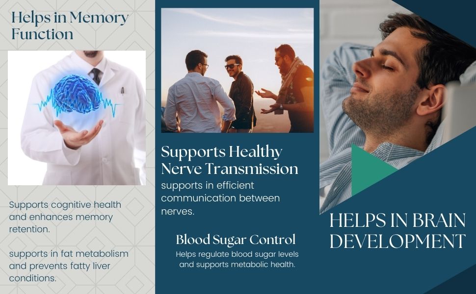 Biotrex Nutraceuticals Inositol and Choline With Vitamin B Complex (B1, B2, B3, B5, B6, B7, B9 & B12) | High Purity Nutrients | Brain & Nerve Function | Better Motor Signal | Lab Tested | 60 Veg Capsules