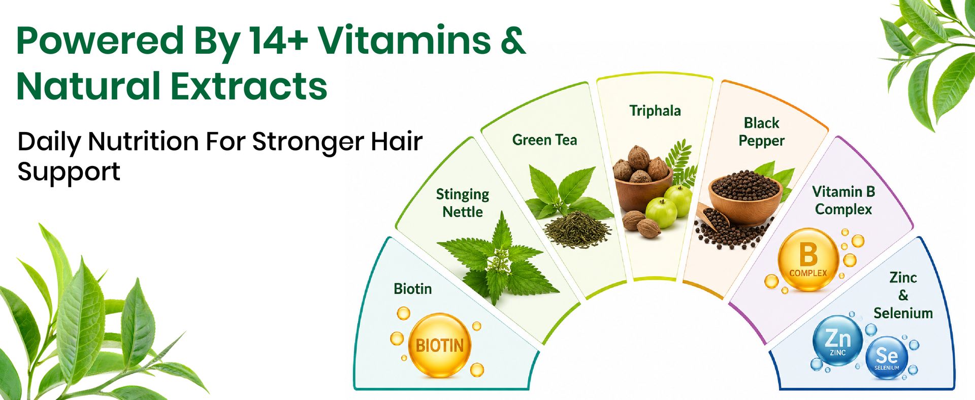 Vlado’s Himalayan Organics Pure Biotin, DHT Blocker Supplement, Plant-Based Vitamin B1, B2 , B3, B5, B6, B7 , B9, B12 , Vitamin c ,Vitamin D3 ( Cholecalciferol ) (With Goodness of Nettle Leaves | Helps Reduce Hair Fall, Controls Hair Fall, Stimulates Hair Follicles & Promotes Hair Growth | For Men And Women - 60 Veg Capsules