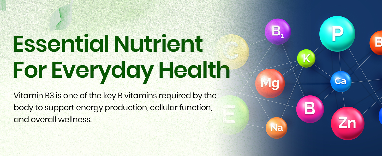 Vlado's Himalayan Organics Plant-Based Vitamin B3 14Mg Supplement - 120 Veg Capsules | Supports Healthy Skin and Heart | Good For Men and Women