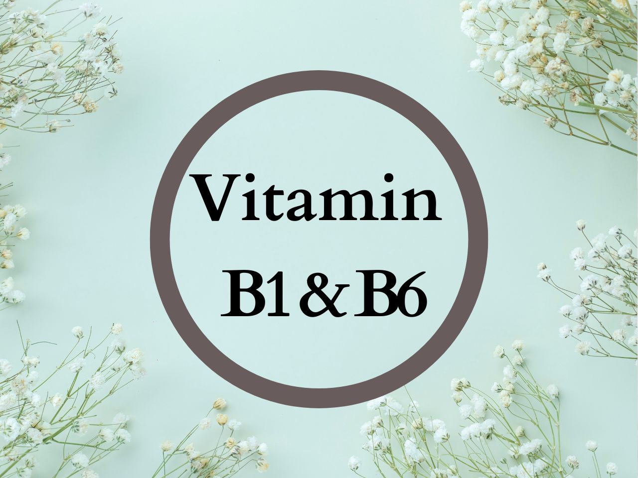Sylara Biotin 120 Tablets 10000mcg with Hair Vitamins and Skin Vitamins - Vitamin B1, B2, B3, B5, B6, B7, B9, B12 - Capsules Supplement 10000 mcg