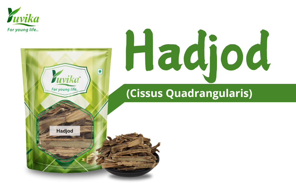 Yuvika Hadjod - Hadjora - Gangdi - Cissus Quadrangularis 100 Grams