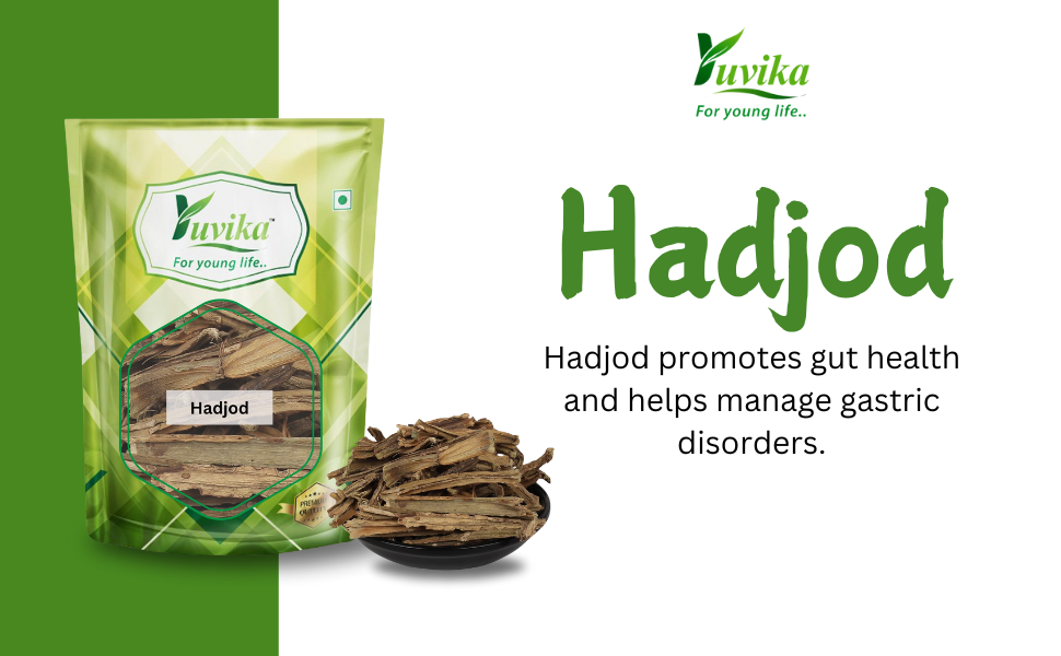 Yuvika Hadjod - Hadjora - Gangdi - Cissus Quadrangularis 100 Grams
