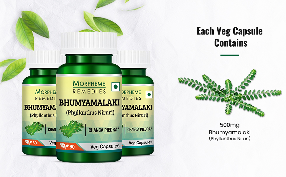 Morpheme Remedies Phyllanthus Niruri Bhumyamlaki 500 mg - 60 Veg Capsules
