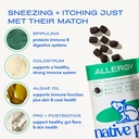 native-pet-allergy-chews-for-dogs-30-air-6.jpg