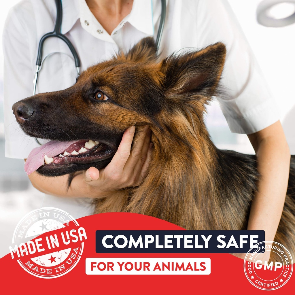 geneflora-digestive-enzymes-prebiotics-p-4.jpg