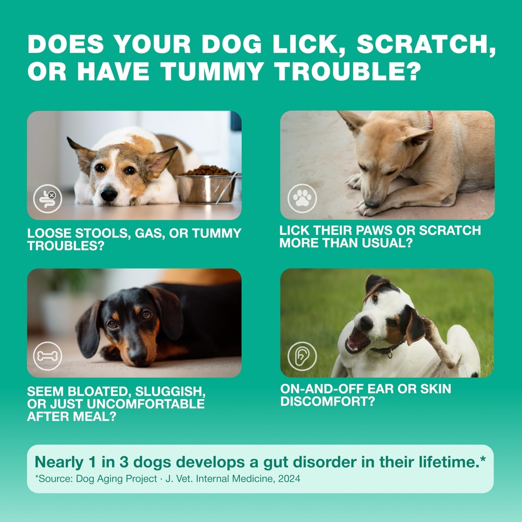 probiotics-for-dogs-gut-health-digestion-2.jpg