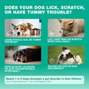 probiotics-for-dogs-gut-health-digestion-2.jpg