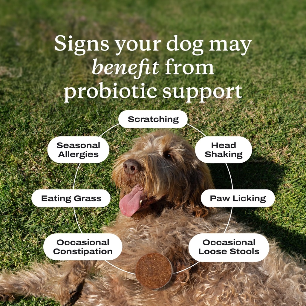 petlab-co-probiotics-for-dogs-support-gu-2.jpg