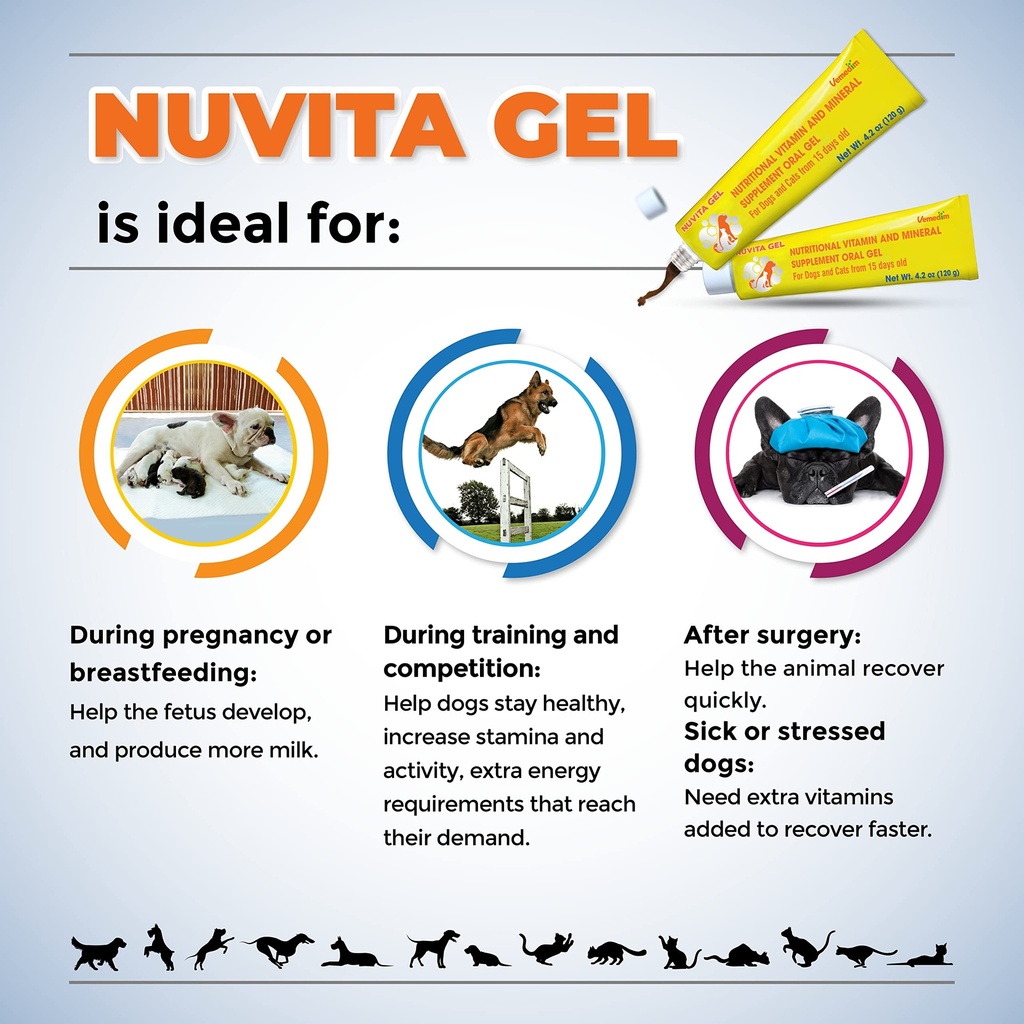 premium-nutritional-and-vitamin-gel-for--2.jpg