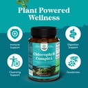 chlorophyll-capsules-for-cleanse-and-det-5.jpg