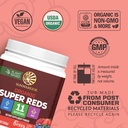 organic-super-reds-powder-11-superfoods--3.jpg