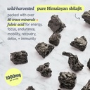 peak-vitality-himalayan-shilajit-gummies-4.jpg