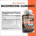 15in1-mushroom-gummies-with-lions-mane-t-6.jpg