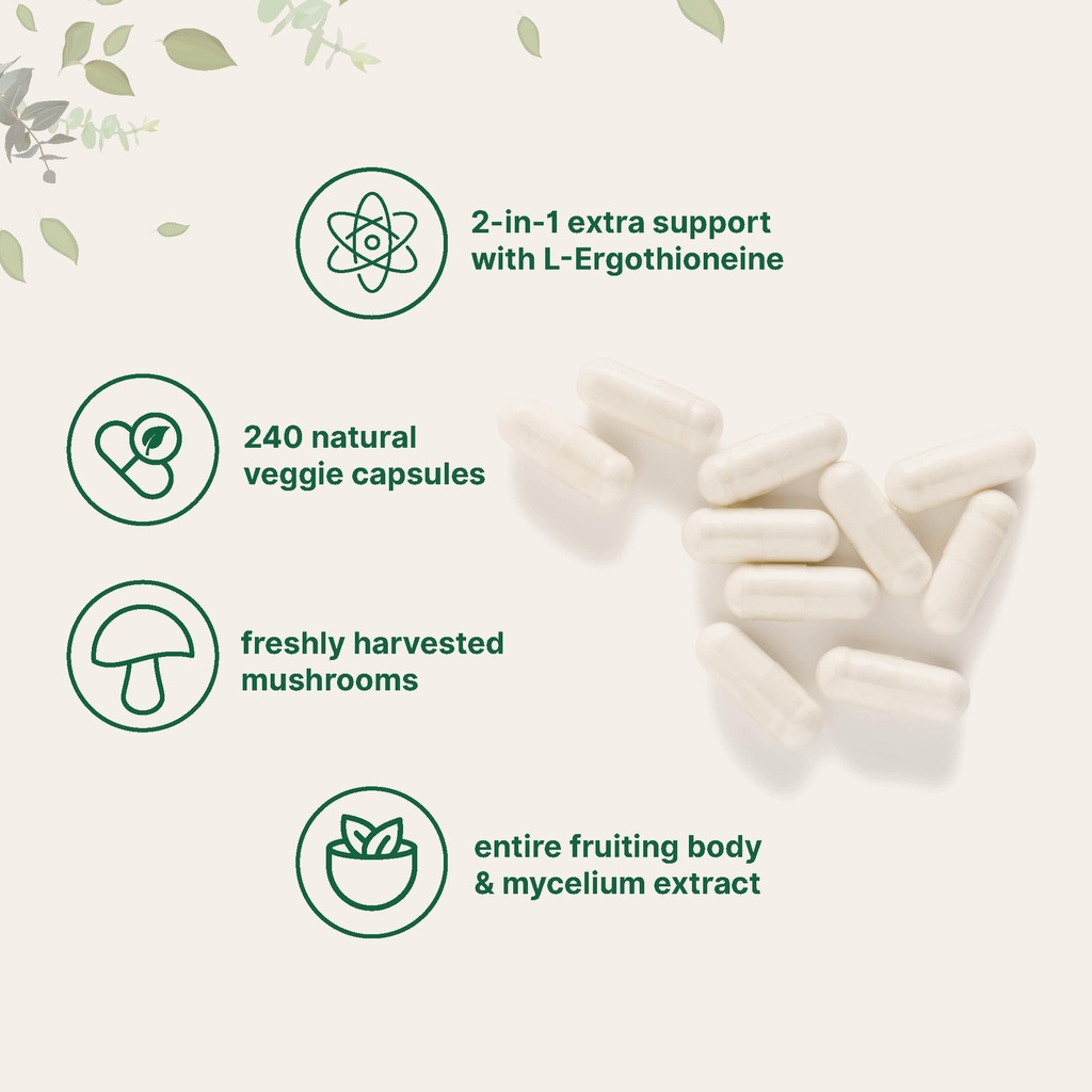 micro-ingredients-lion-s-mane-mushroom-e-3.jpg
