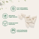 micro-ingredients-lion-s-mane-mushroom-e-3.jpg