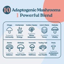 diez-10-in-1-master-blend-mushroom-tinct-2.jpg