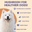 mushroom-for-dogs-with-turkey-tail-mushr-3.jpg