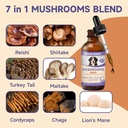 mushroom-for-dogs-with-turkey-tail-mushr-2.jpg