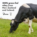 just-ingredients-french-vanilla-protein--4.jpg
