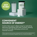 micronized-creatine-monohydrate-powder-p-6.jpg
