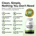 lactobacillus-plantarum-probiotic-240-ta-3.jpg